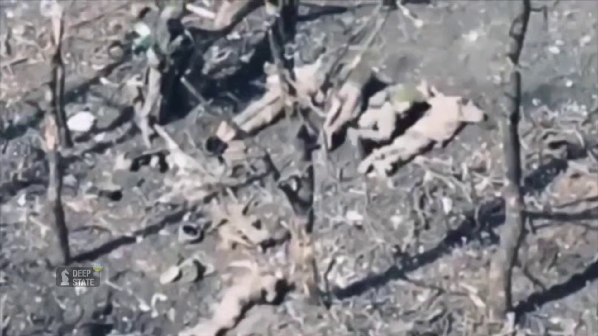 Ukrainian prisoners of war near Kotlyne. November 2025. Freeze frame from a DeepState video.