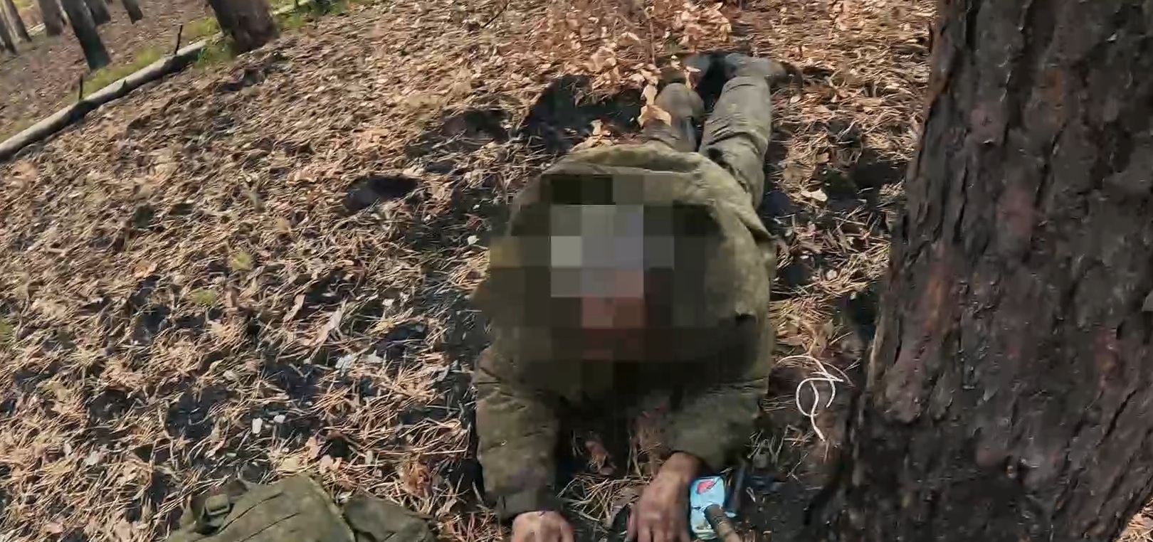 Третій корпус захопив сімох окупантів під час зачистки в лісах Харківщини