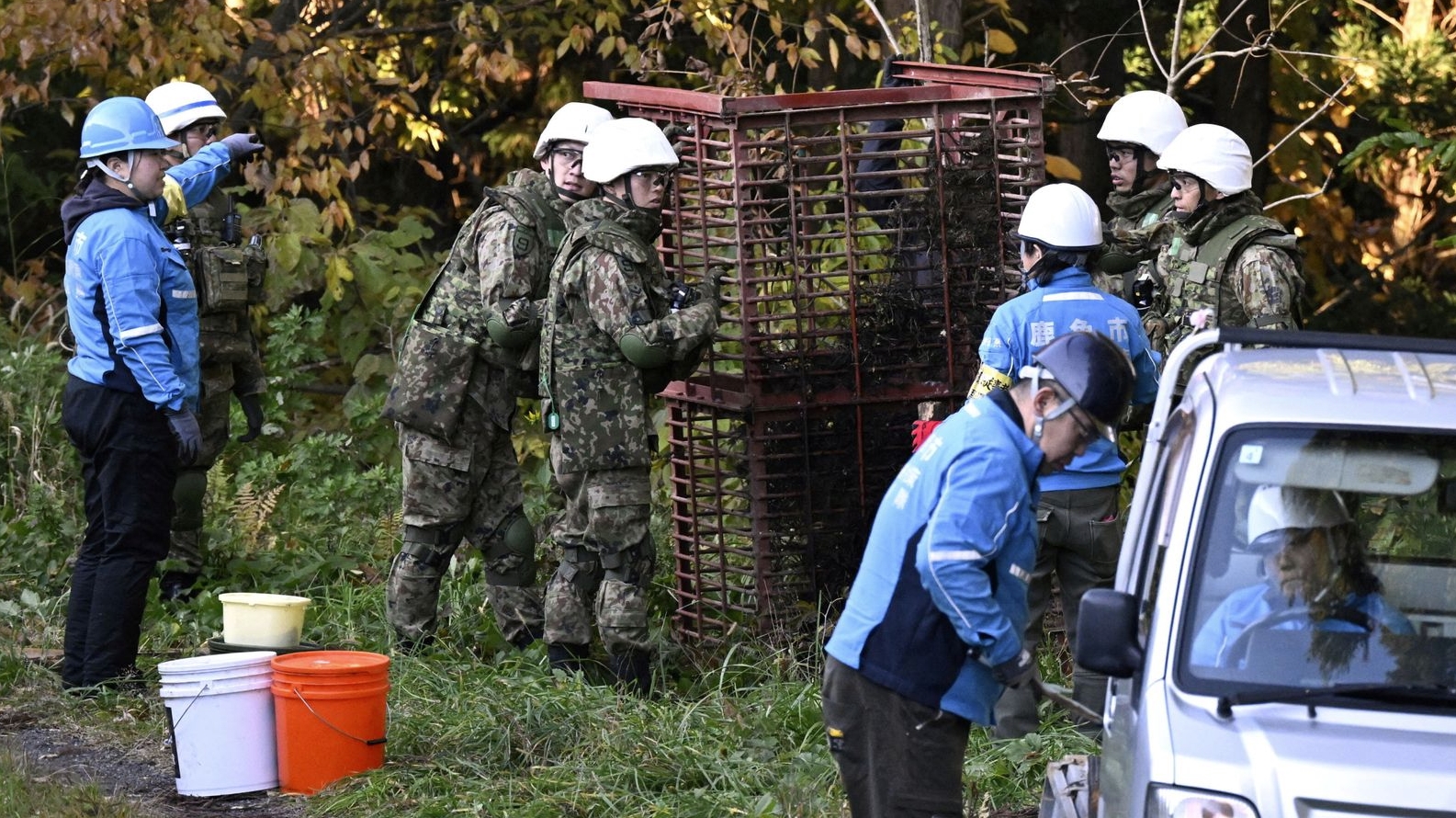 Японські військові з кліткою для ведмедів. Листопад 2025. Джерело: The Yomiuri Shimbun/AP