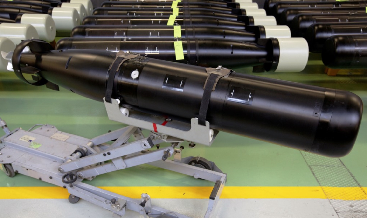 Leonardo A244/S torpedo. Source: edrmagazine.eu