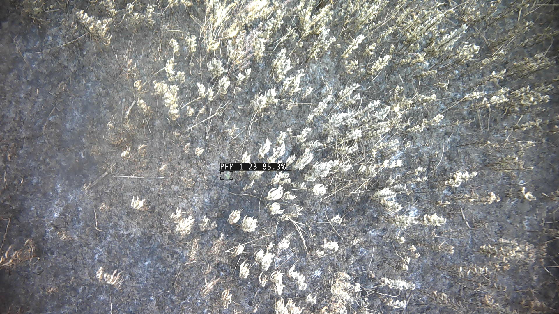 Принцип дії дрона "Спінер" від Ailand Systems