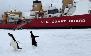 Трамп планує закупити більшу кількість криголамів