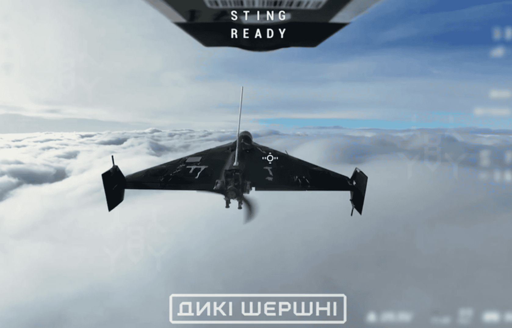 Russian Shahed-type attack UAV with a radio-beacon navigation antenna. Screenshot from the Wild Hornets video