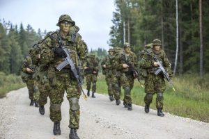 Estonia Ready to Deploy Troops to Greenland at Denmark’s Request