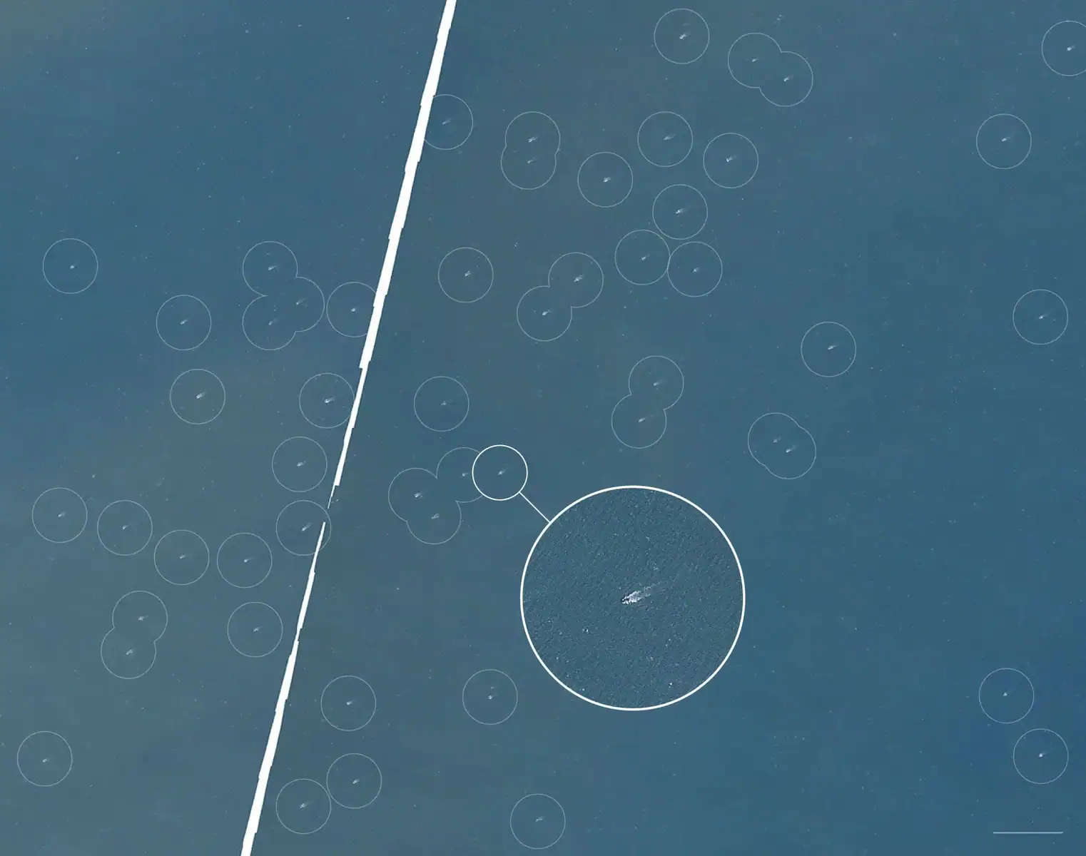 A satellite image of Chinese fishing vessels participating in the maneuvers on January 10, 2026. Photo credits: The New York Times, satellite image by Planet Labs