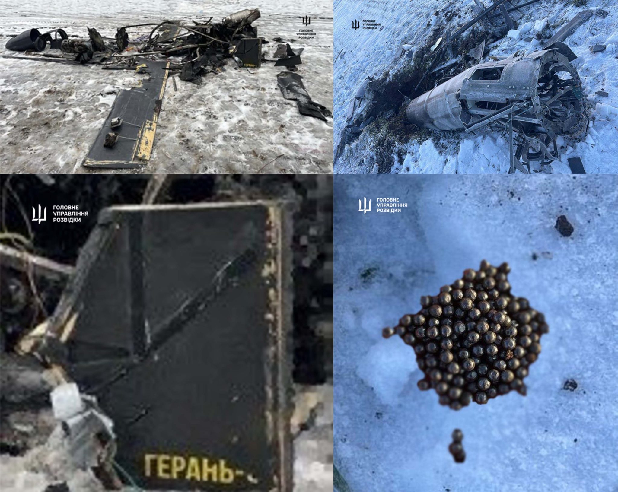 The debris of the destroyed Russian Geran-5 kamikaze drone. Photo credits: DIU
