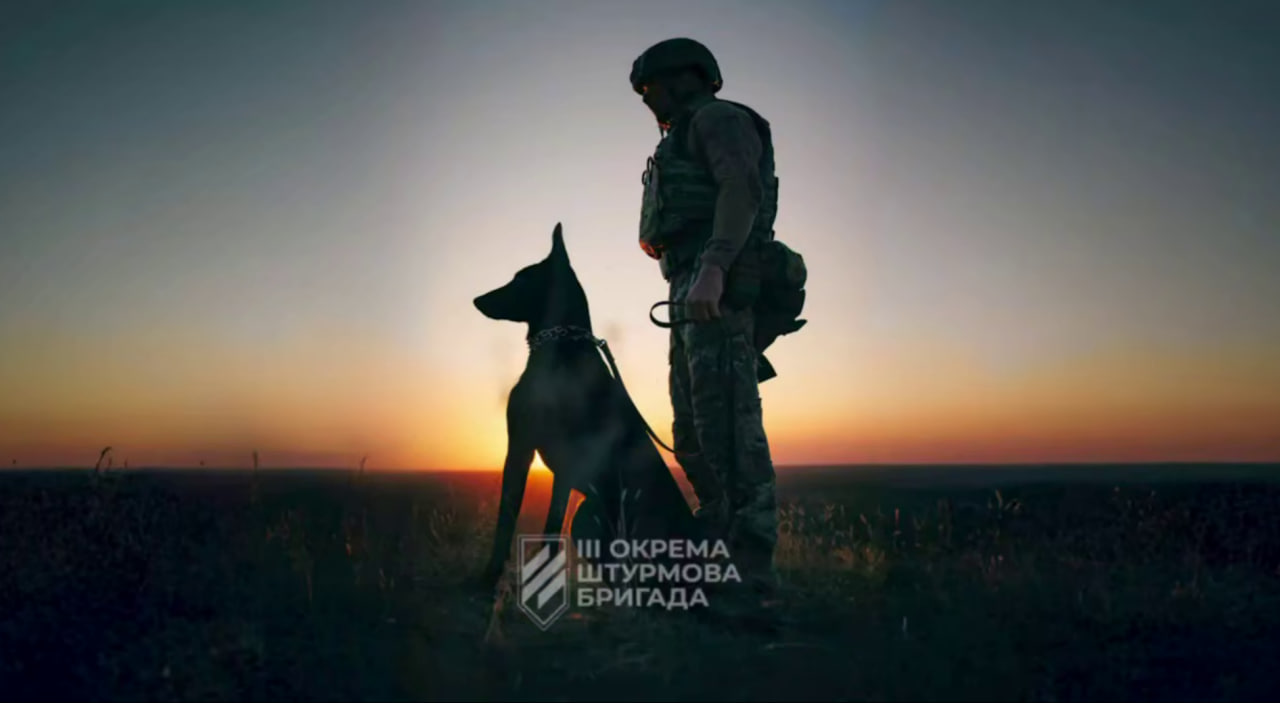 У 3-й штурмовій бригаді сформували кінологічний підрозділ «К9»