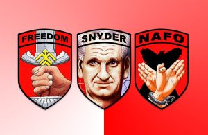 Історик Тімоті Снайдер зібрав €1 млн на машини з РЕБ для корпусу «Хартія»