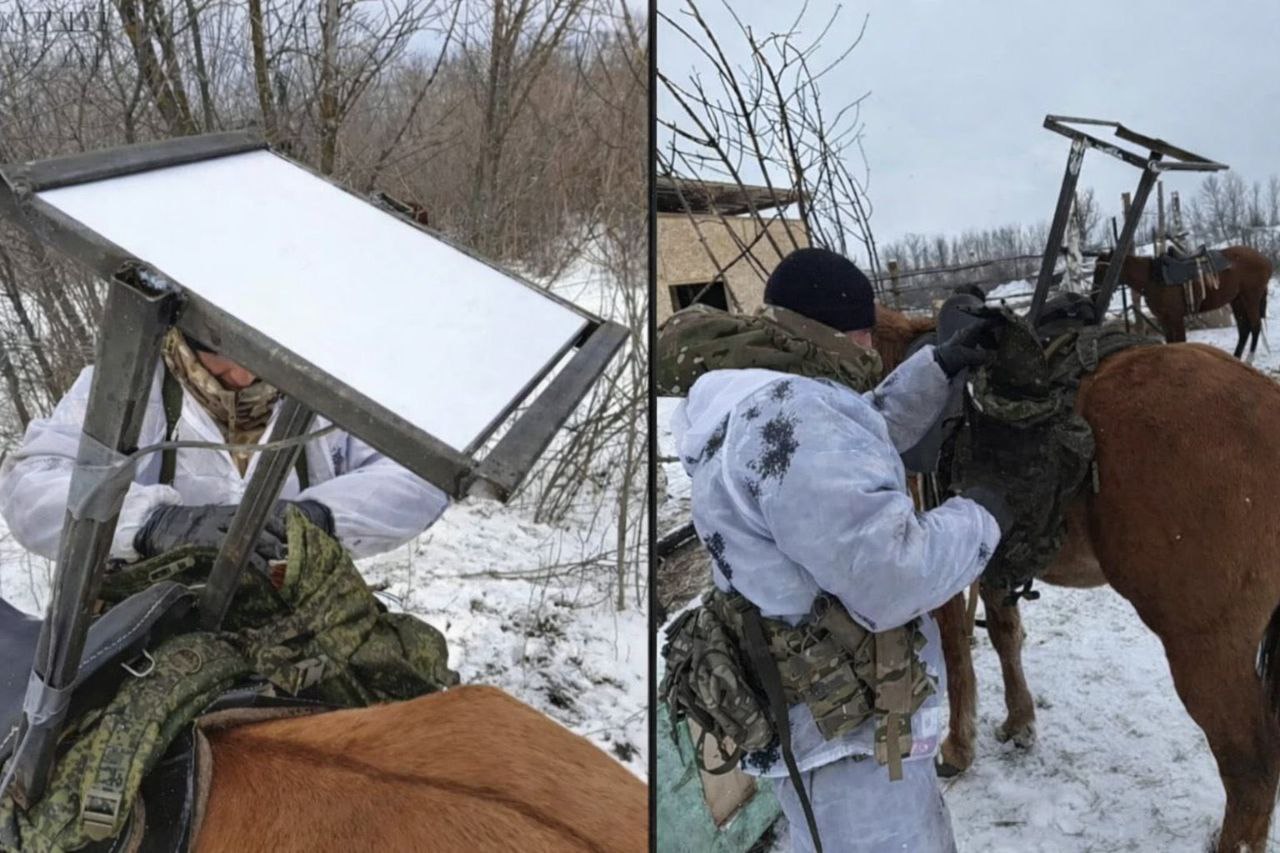 Starlink on Horseback: Russians Use Animals for Mobile Internet