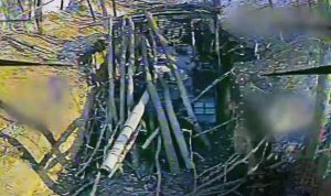 На Запоріжжі дрони 210 ОШП за один день уразили танк та САУ