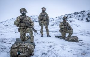 До Гренландії прибули додаткові данські війська