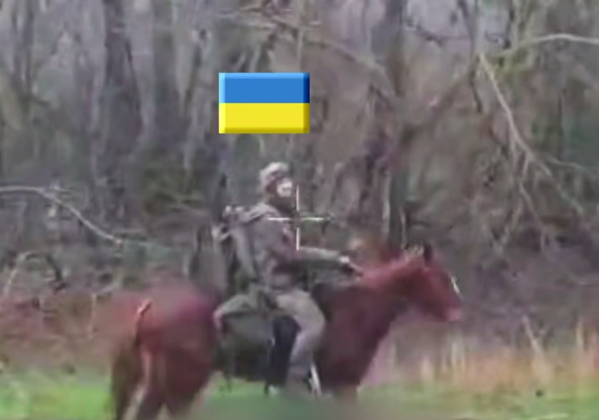 Ukrainian Assault Troops Capture Two Horses After Killing Russian Mounted Fighters