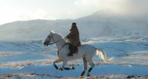 Luxury Goods for the Kim Regime: Russia Supplies Horses to North Korea