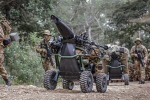 Італійська армія випробовує НРК Wild Goose