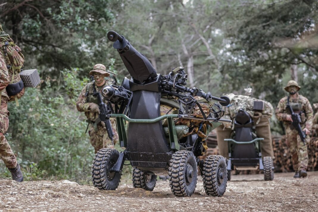 Італійська армія випробовує НРК Wild Goose