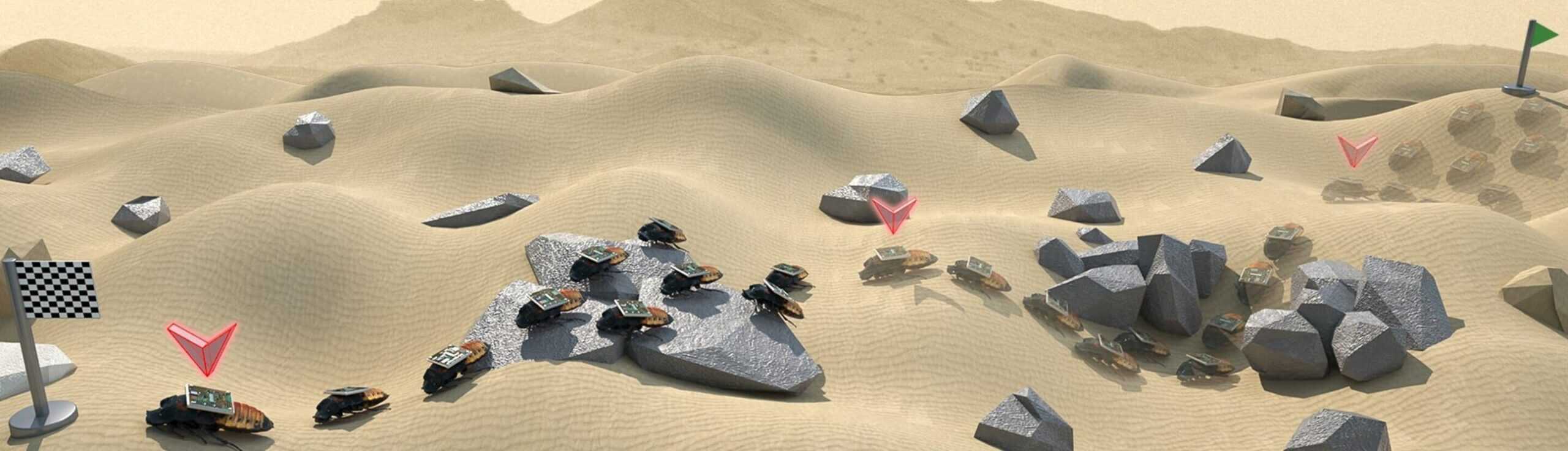 "Комахи-кіборги", яких розробили науковці з Наньянського технологічного університету в Сінгапурі (NTU Singapore). Вони створили перше в світі виробництво роботизованих тарганів, які допомагатимуть у гуманітарних місіях. Джерело: UrsaMedia