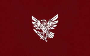 У 8-му корпусі ДШВ створили 238-й батальйон безпілотних систем «Чорний сокіл»