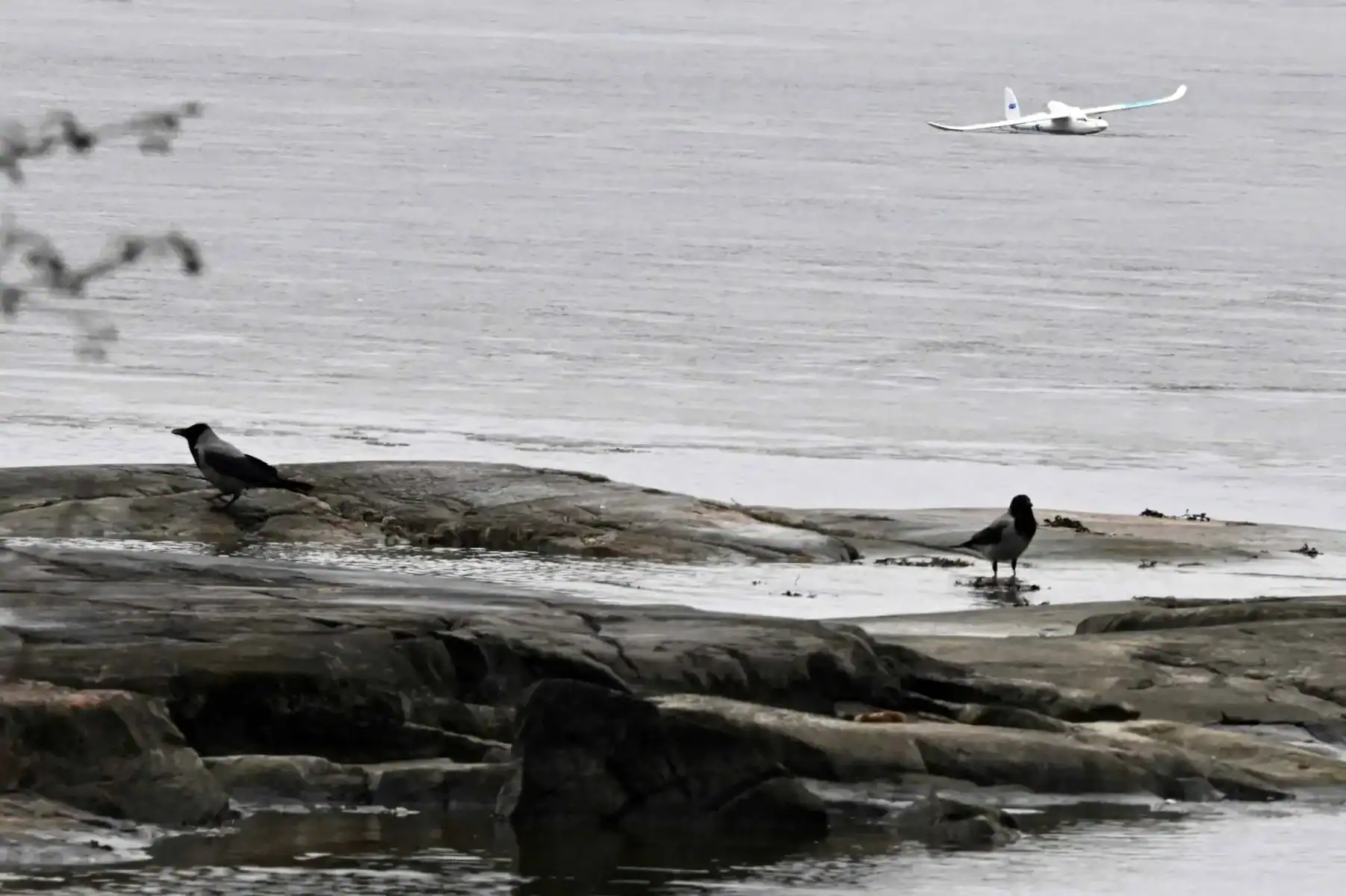 The drone found near the city of Espoo. Photo credits: Yle