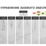Фрагменти із презентації Центру 795, підготовленої у 2023 році для Володимира Путіна. Фото The Insider