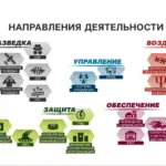 Фрагменти із презентації Центру 795, підготовленої у 2023 році для Володимира Путіна. Фото The Insider (2)
