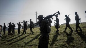 Порохова діжка «Африканського рогу»: Тиграй, Еритрея і проксі-війна ОАЕ проти Саудитів