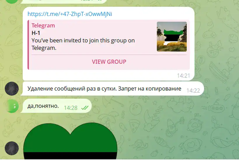 A chat of separatists advocating the creation of the Narva People’s Republic. Photo credits: Baltic Sentinel