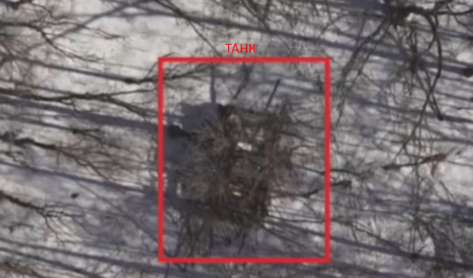 На Бєлгородщині замасковані танки потрапили під удар дронів-бомберів Lasar’s Group