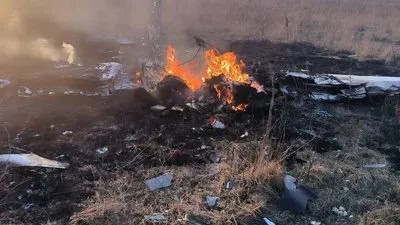 Wreckage of a light aircraft in a forested area of the Moscow region. Photo credits: Russian media