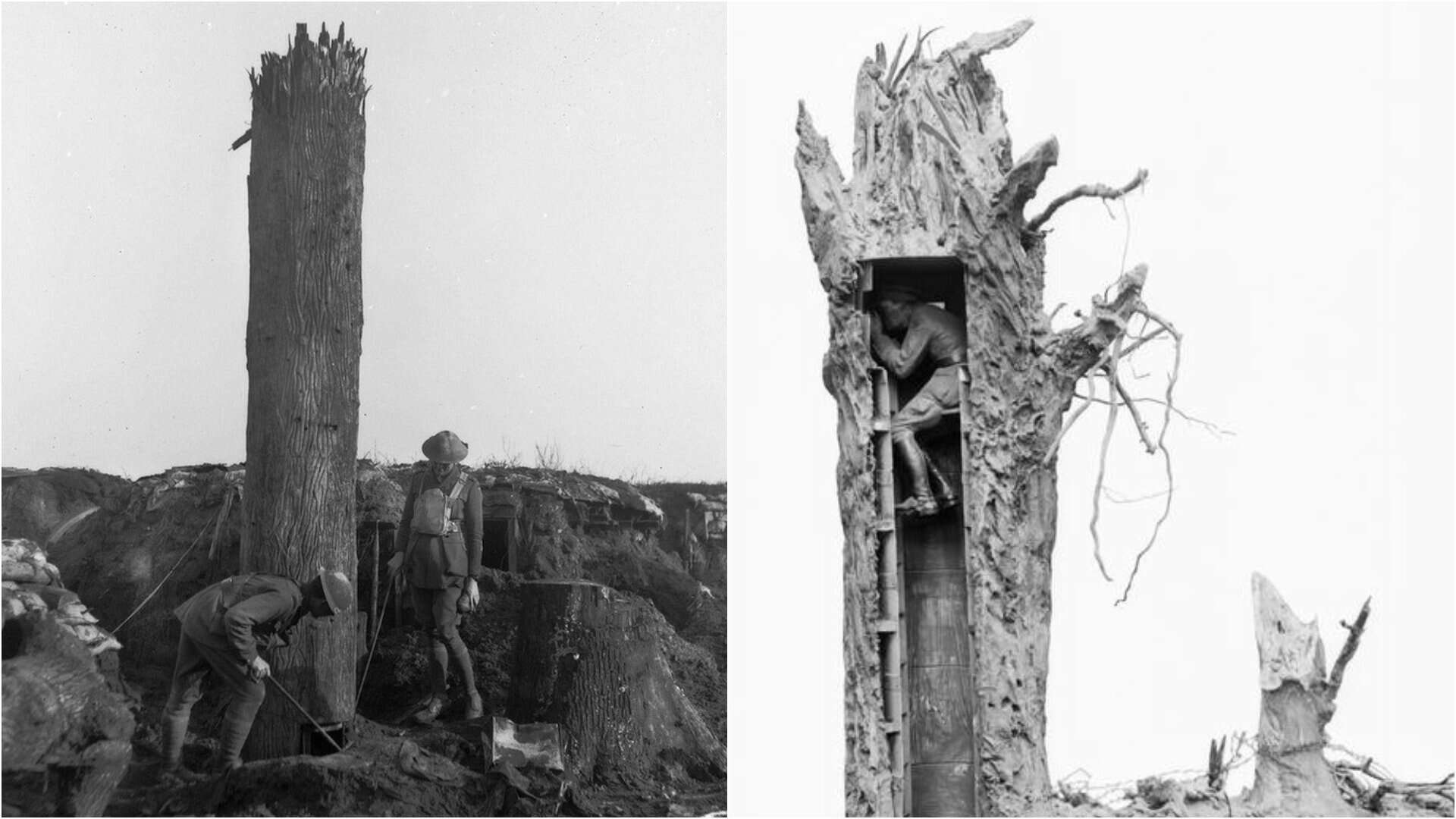 Фальшиве дерево - башта для спостереження у Першій світовій війні