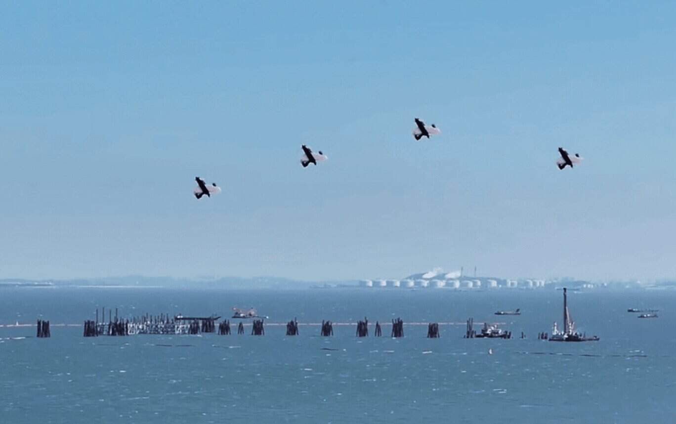 A demonstration of DAON’s vertical takeoff and landing drone swarm. Several drones fly in an autonomous formation to perform mapping. Source: da-on.com