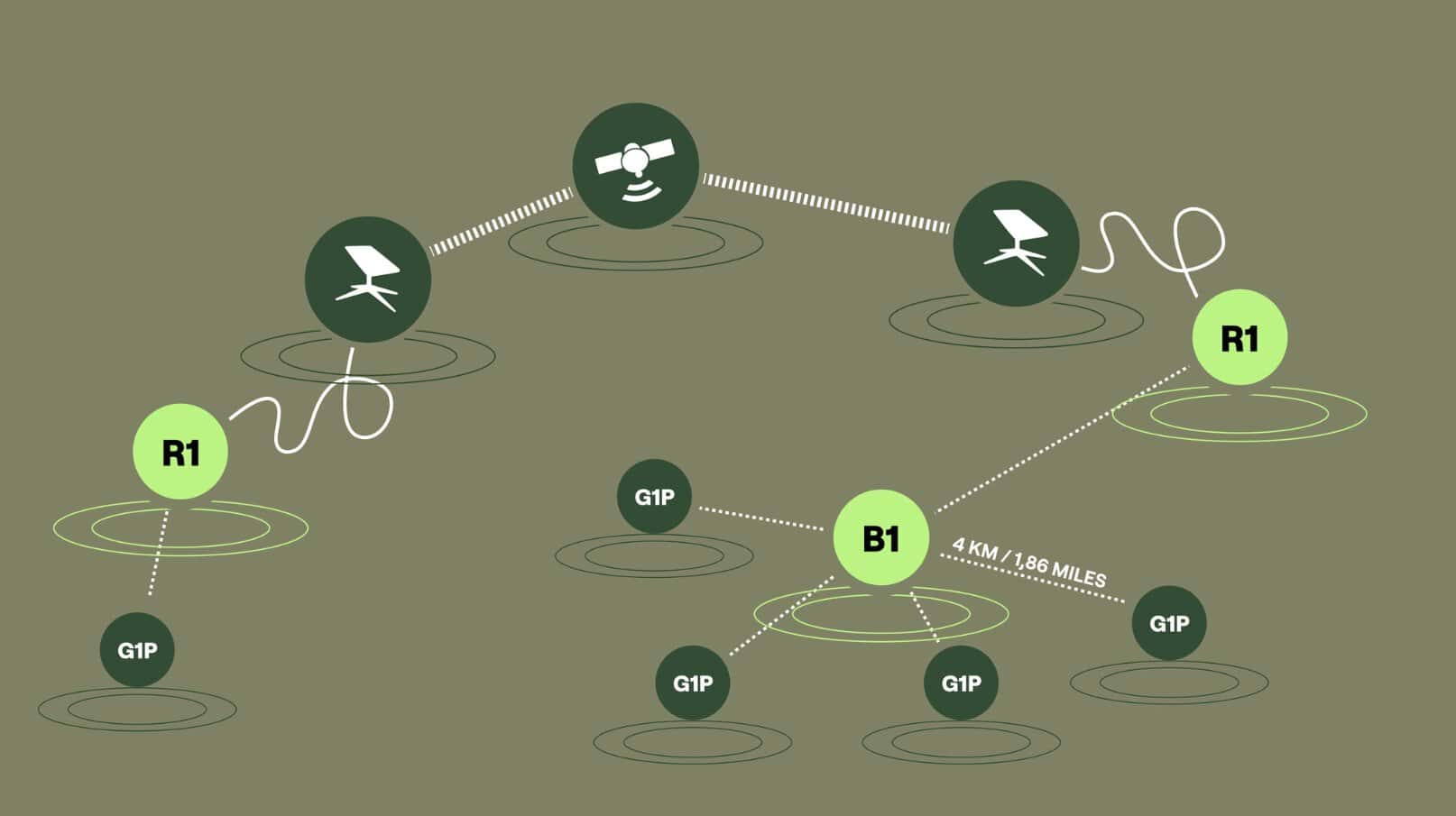 Mechanism of operation of HIMERA's B1 and R1 repeaters