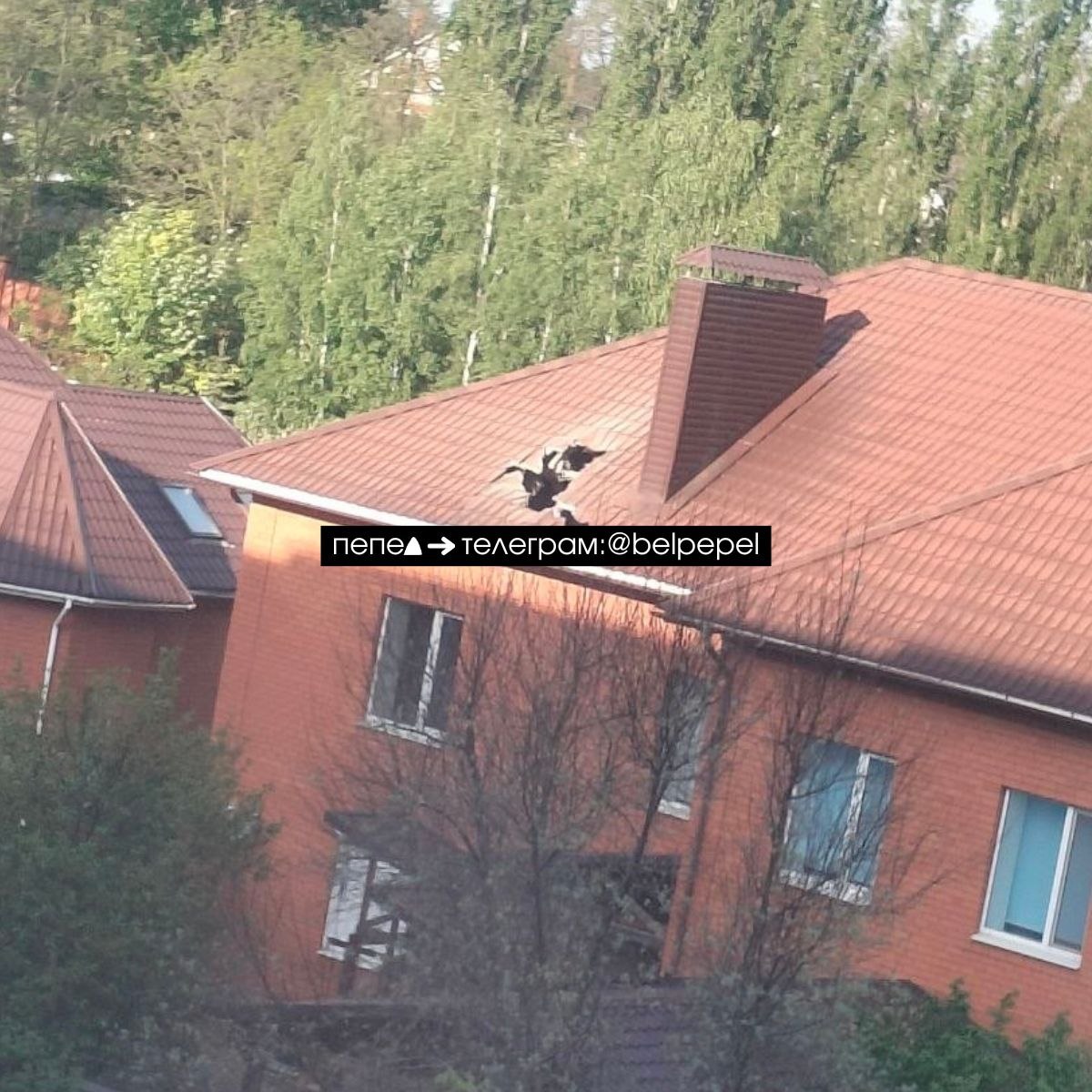 A Russian aerial bomb struck a house in the village of Dubovoye near Belgorod. May 16, 2026. Photo credits: Pepel