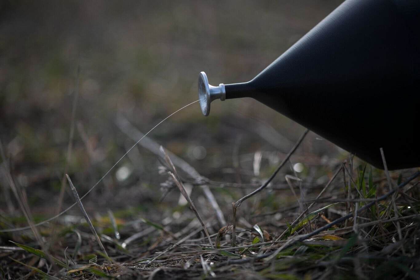 Kazakh Citizen Becomes Leading Importer of Optical Fiber for Russian Drones — The Insider
