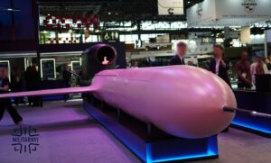 The Ukrainian FP-5 Flamingo cruise missile at the Eurosatory exhibition. June 2026. Photo credits: Militarnyi
