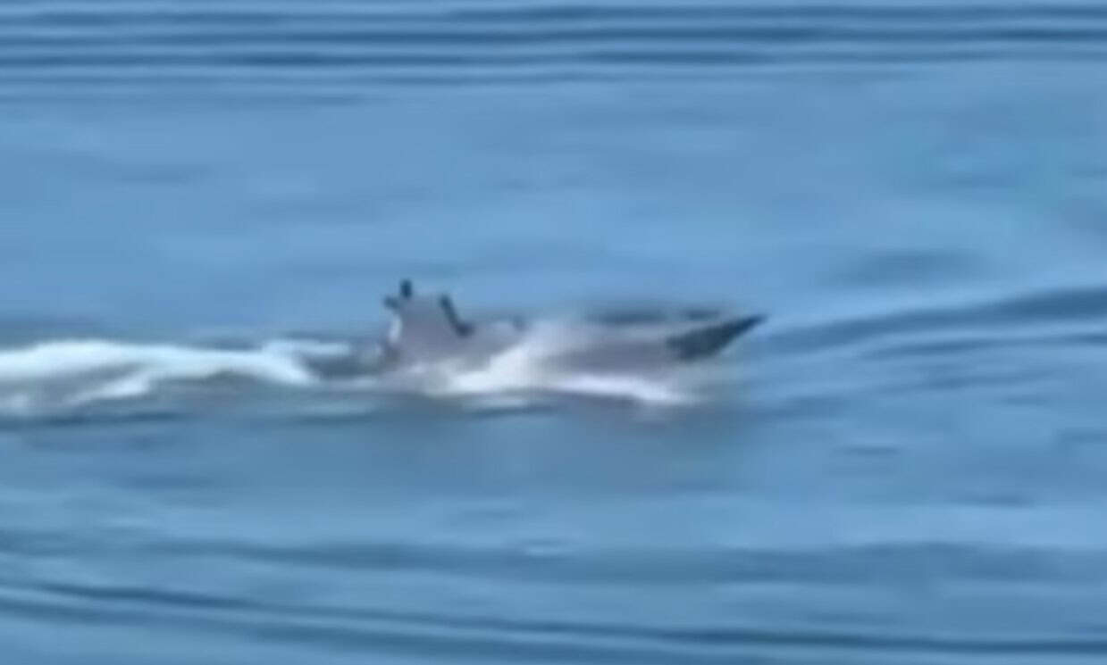 A maritime drone spotted by eyewitnesses during the strike in Sochi on September 3, 2026. Screenshot from a video by Russian media