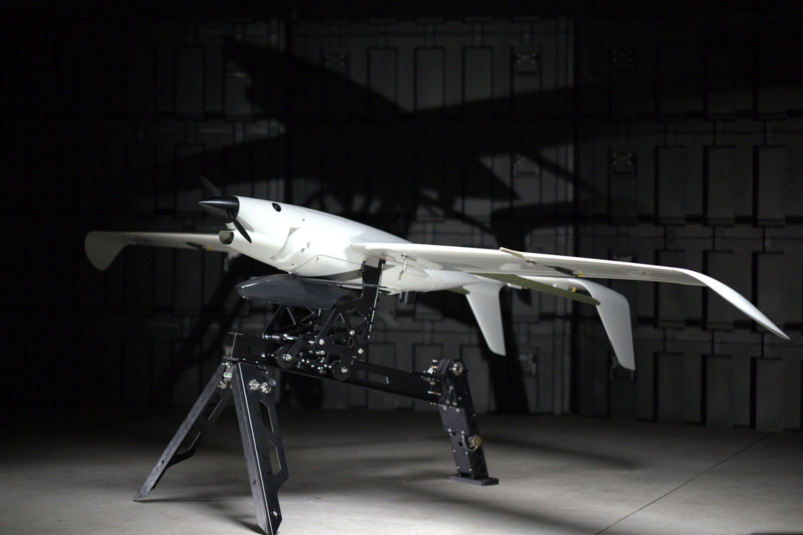 Ukrainian Skyeton Develops Stormbird Strike UAS to Carry Glide and Loitering Munitions