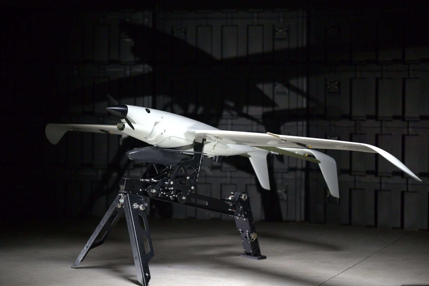 Українська Skyeton створила ударний БпАК Stormbird — носій плануючих та баражуючих боєприпасів